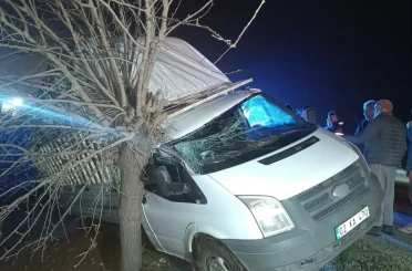 Kamyonet şarampolde ağaca çarptı: 1 yaralı 