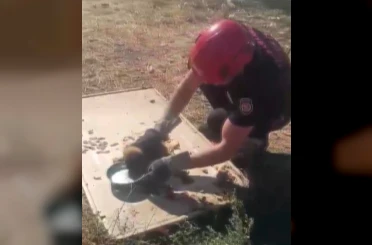 Kanala düşen yavru köpek kurtarıldı 
