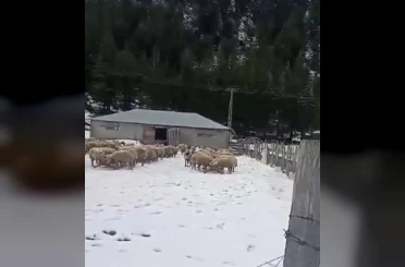 Kar kalınlığı 1 metreye ulaştı, mahsur kalan vatandaş kurtarıldı 
