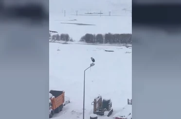 Kar ve soğuğa rağmen elektrik direğinde ayakta duran Leylek dikkat çekti 