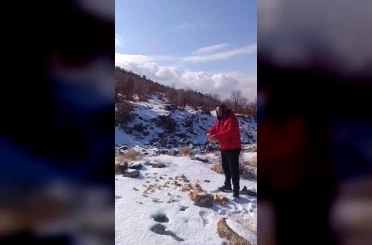 Kar yağışı Karacadağ’daki yaban hayatını zorladı 