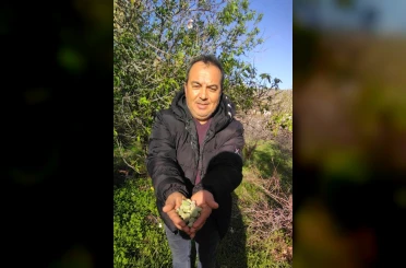 Kara kışta badem sürprizi 