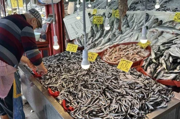 Karabük’te balık tezgahlarında hamsi bolluğu: Kilosu 100 TL’ye kadar düştü 