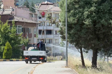 Karabük’te sinek ve haşereyle mücadele çalışmaları sürüyor 