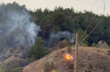 Karabük’te yangın 3 saatte kontrol altına alındı 