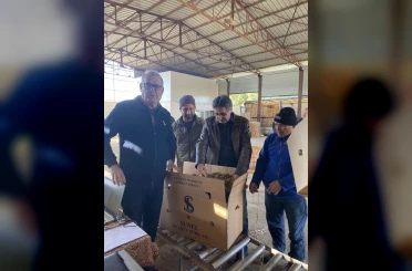 Karacasu’da tütünler paketlenmeye başladı, üretici fiyatlardan dert yandı 