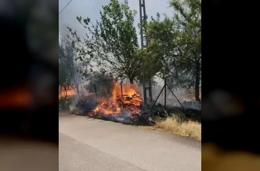 Karadağ Ormanlık alanda çıkan yangın korkuttu 