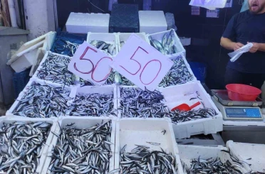 Karadeniz hamsisi tezgahları doldurdu: Kilosu 50 lira 