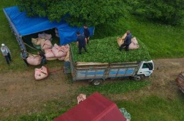 Karadeniz insanı yine zekasını konuşturdu, zor işi kolaylaştırdı 