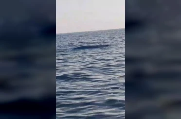 Karadeniz kıyılarında bir insansız deniz aracı şüphesi daha 