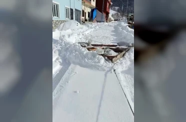 Karadenizli zekası 