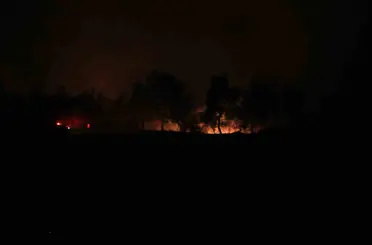 Karaisalı’daki orman yangını kontrol altına alındı
