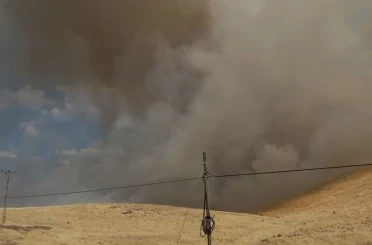 Karakoçan’da örtü yangını 