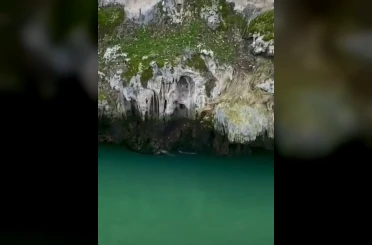 Karakoçan’da su samurları görüntülendi 