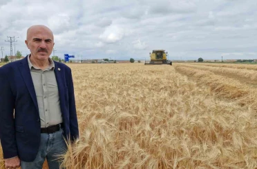 Karaman Ovası’nda yılın ilk arpa hasadı yapıldı 