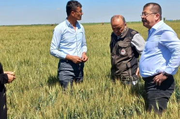 Karapınar’da dolu afetinin etkilediği alanlarda inceleme