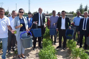 Karapınar’da "Doğayla El Ele Öğreniyorum, Üretiyorum, Paylaşıyorum" projesi meyvelerini veriyor 