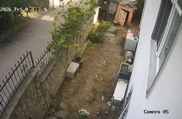Karganın yumurta hırsızlığı kameraya yansıdı 