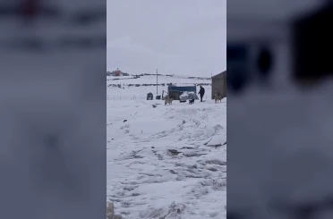 Kars’ın soğuğunda enerji mesaisi: Aras Edaş ekiplerinin soğukla imtihanı 