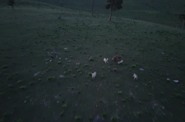 Kars’ta boz ayı ile köpeklerin kovalamacası dron kamerasına yansıdı 