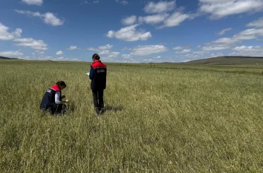 Kars’ta doğal afet sonrası seferberlik: Tarım ekipleri hasar tespiti için sahada 