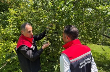 Kars’ta meyveciliğe güç katacak ziyaret: Enver Aydın’dan Sarıkamış’ta verimli üretim için 5 altın tavsiye 