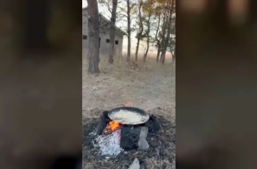 Kars’ta tilkiler yerleşim yerlerinde cirit atıyor 