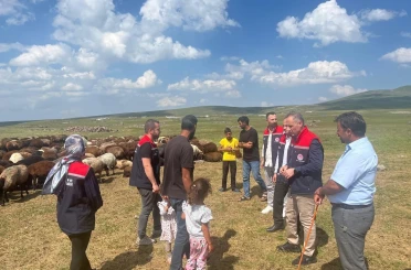 Kars’ta yaylalarda hayvancılığa yakın takip 