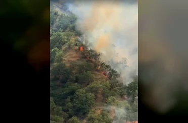 Kastamonu’da orman yangınında 40 dönümlük alan zarar gördü 