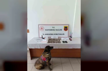 Kastamonu’da uyuşturucu operasyonu: 1 tutuklama 