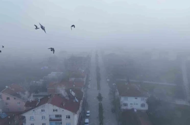 Kastamonu’da yoğun sis 