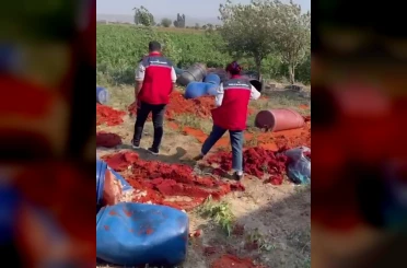 Katkı maddesi kullanılarak üretilen tonlarca domates posasına ve biber salçasına el konuldu 