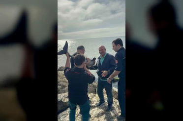Kayalıklara sıkışan yunusu polis memuru kurtardı 