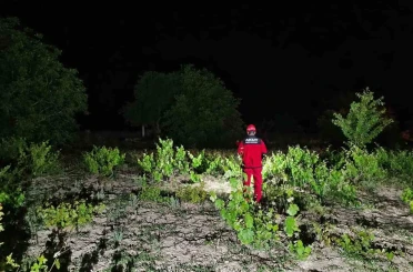 Kayıp 82 yaşındaki şahsı arama çalışmaları sürüyor 