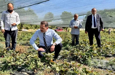 Kaymakam Hökelekli tarımsal üretimi sahada takip etti 