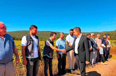 Kaymakam Titiz hasat sevincine ortak oldu 