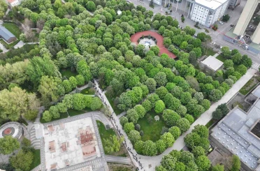 Kayseri’de 300 bin kök organik domates fidesine yoğun ilgi 