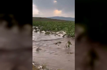 Kayseri’de tarım arazileri sular altında kaldı 