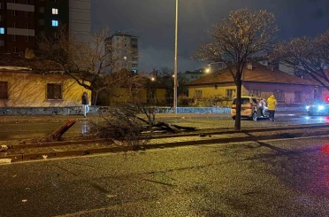 Kaza savrulan otomobil ağacı ikiye böldü: 4 yaralı 