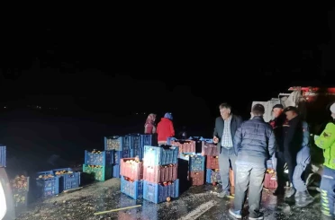 Kazada çevreye dağılan elmaları köy sakinleri topladı 