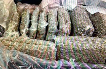 Kazakistan’da bagajında 21 kilo esrar taşıyan kadın gözaltına alındı 