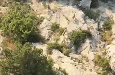 Kazankaya Kanyonu’nda yaban keçileri doğal yaşam alanlarında görüntülendi
