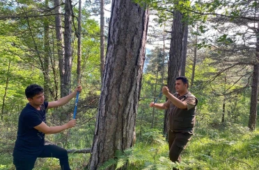 KBÜ’den küre dağları’nda kritik araştırma: İklim değişikliği ormanları nasıl etkiliyor 