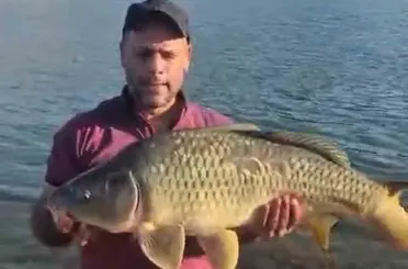 Keban Baraj Gölü’nde 10 kiloluk sazan yakalandı
