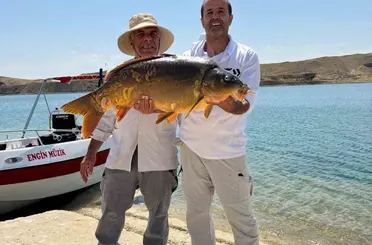 Keban Baraj Gölü’nde 27 kiloluk dev sazan yakalandı
