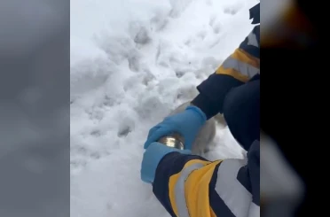 Kedinin başına sıkışan konserveyi sağlık ekipleri çıkardı 