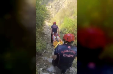 Kekik toplarken dere yatağına düşen çocuk yaralandı 
