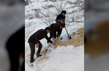 Kemah’ta yaban hayatı unutulmadı 
