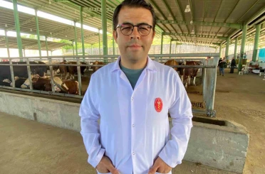 Kene tehdidine dikkat: 200’den fazla hastalık etkeni taşıyabiliyor 