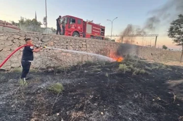 Kırıkhan’da zeytinlik alan yangını 